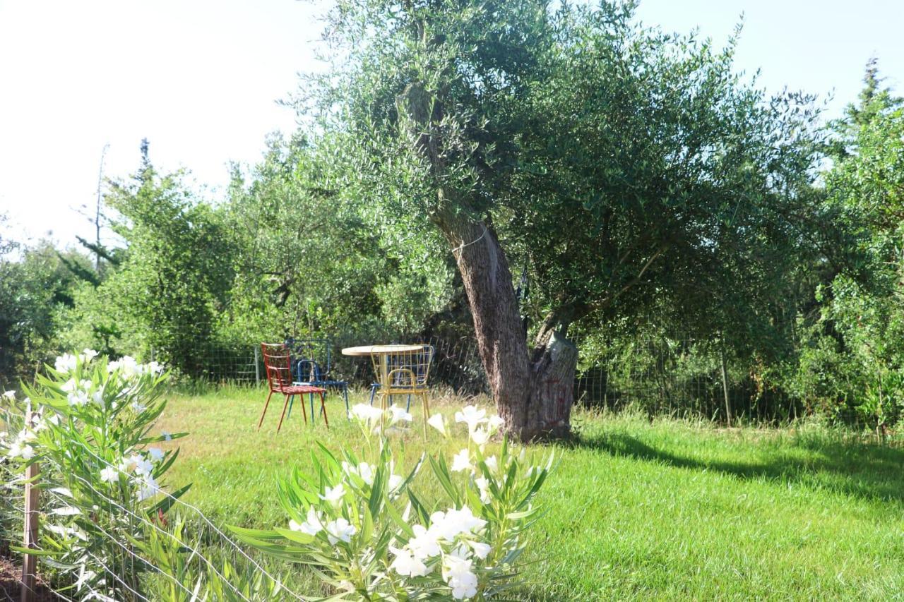 Essos Villas Dhërmi Esterno foto